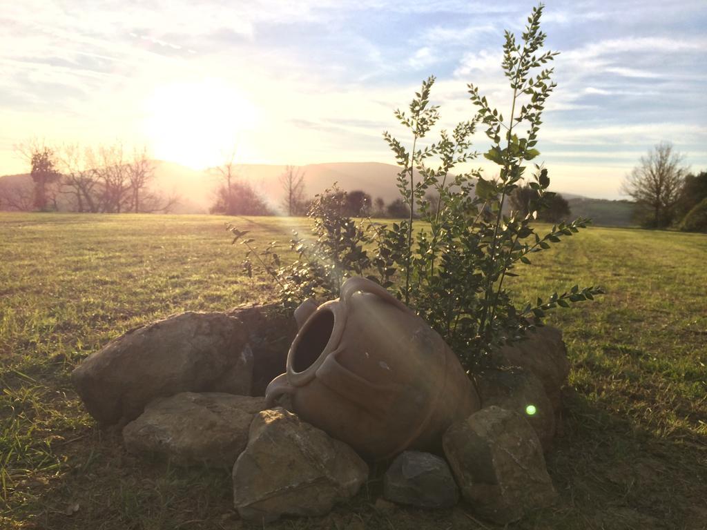 Agriturismo Fonte Di Braca Villa Campagnatico Eksteriør billede